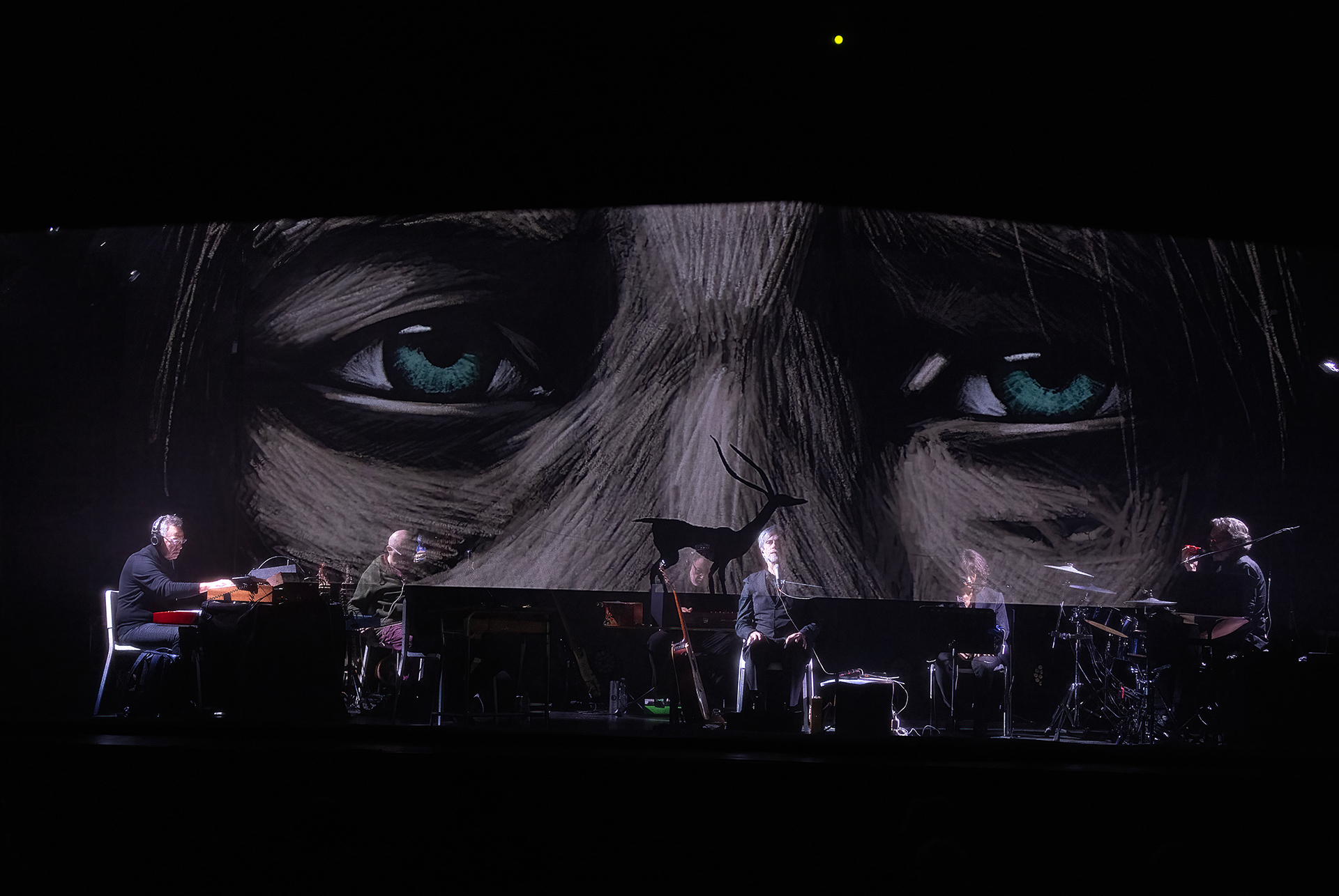 Nomadic - Canto per la biodiversità, di Telmo Pievani e Gianni Maroccolo. Foto di Francesco Balestrazzi.
